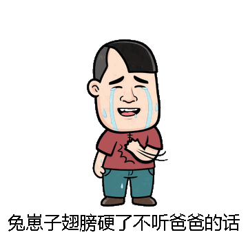 兔崽子翅膀硬了不听爸爸的话了微信表情包在线制作