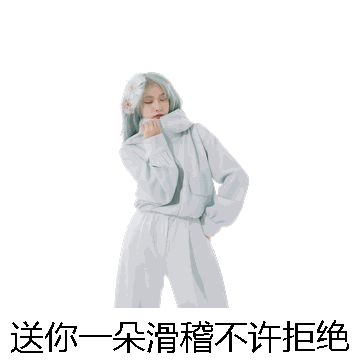 送你一朵滑稽不许拒绝微信表情包在线制作